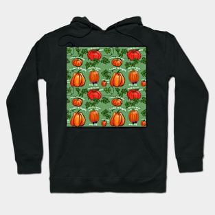 Boys Pumpkins in Sage Hoodie